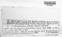 Image Associated With the Occurence